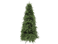 Triumph Tree Slim Abies Nordmann de Luxe 185 (showmodel) thumbnail